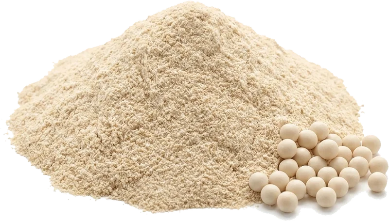 Postbiotik-Komplex als feines helles Pulver.