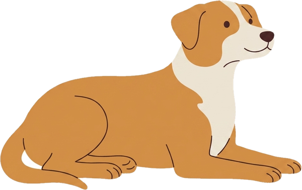 Ein entspannt liegender Hund.