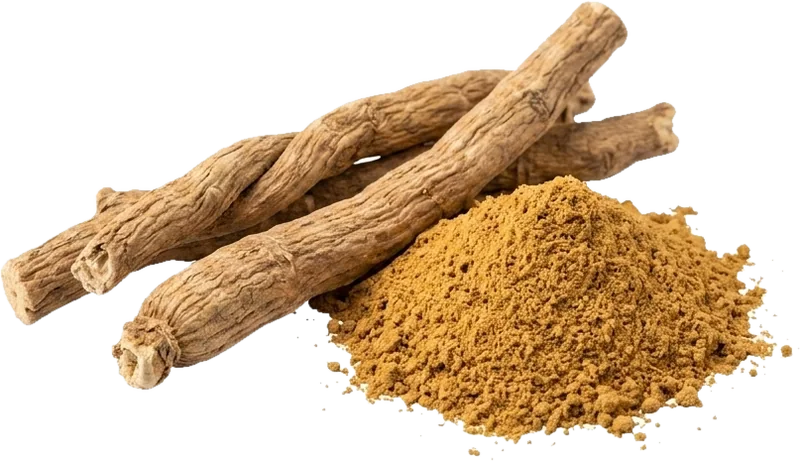 Sensoril Ashwagandha: Wurzelstücke und Wurzelpulver.