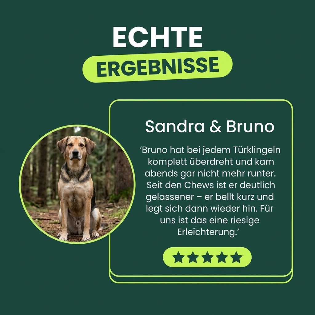 Erfahrungsbericht von Sandra und ihrem Hund Bruno