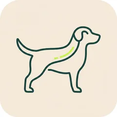 Symbol: Verbindung von Darm und Gehirn.