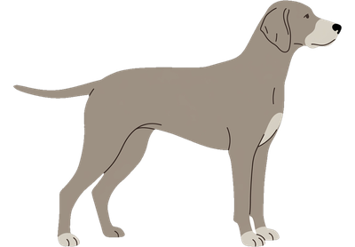 Silhouette großer Hund